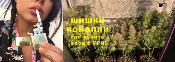 сатива Абдулино