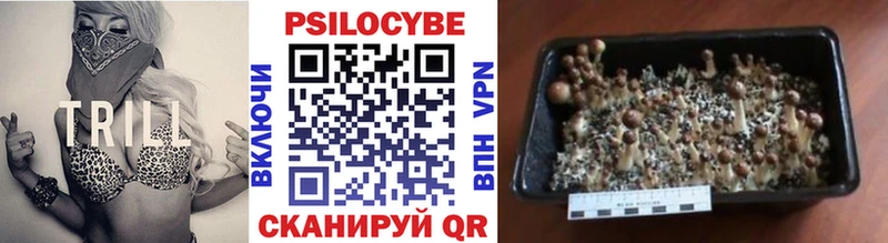 купить   Фёдоровский  Галлюциногенные грибы ЛСД 